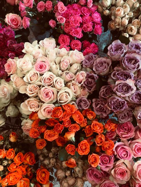 An assortment of fresh roses arranged in clusters, featuring various colors including soft pinks, creamy whites, lavender, and vibrant orange. The roses have full, lush petals with some showing a deli